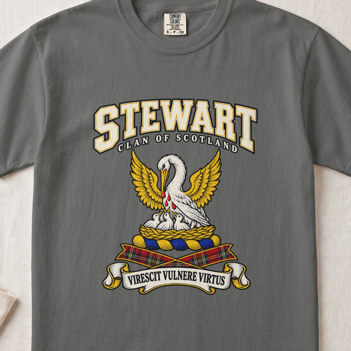 Stewart High Stewards Scottish clan graphic T-shirt in Pepper, front view