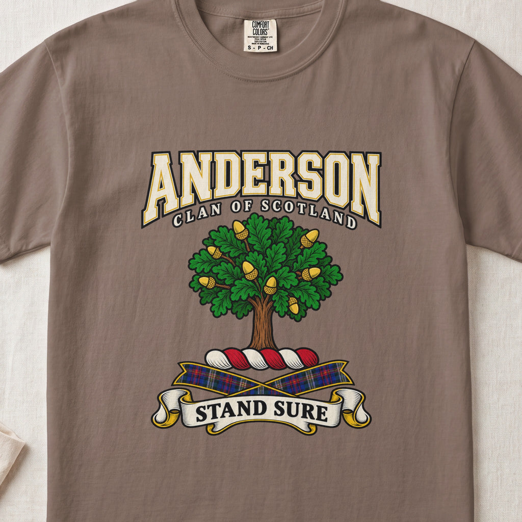 Anderson Scottish clan graphic T-shirt in Espresso, front view