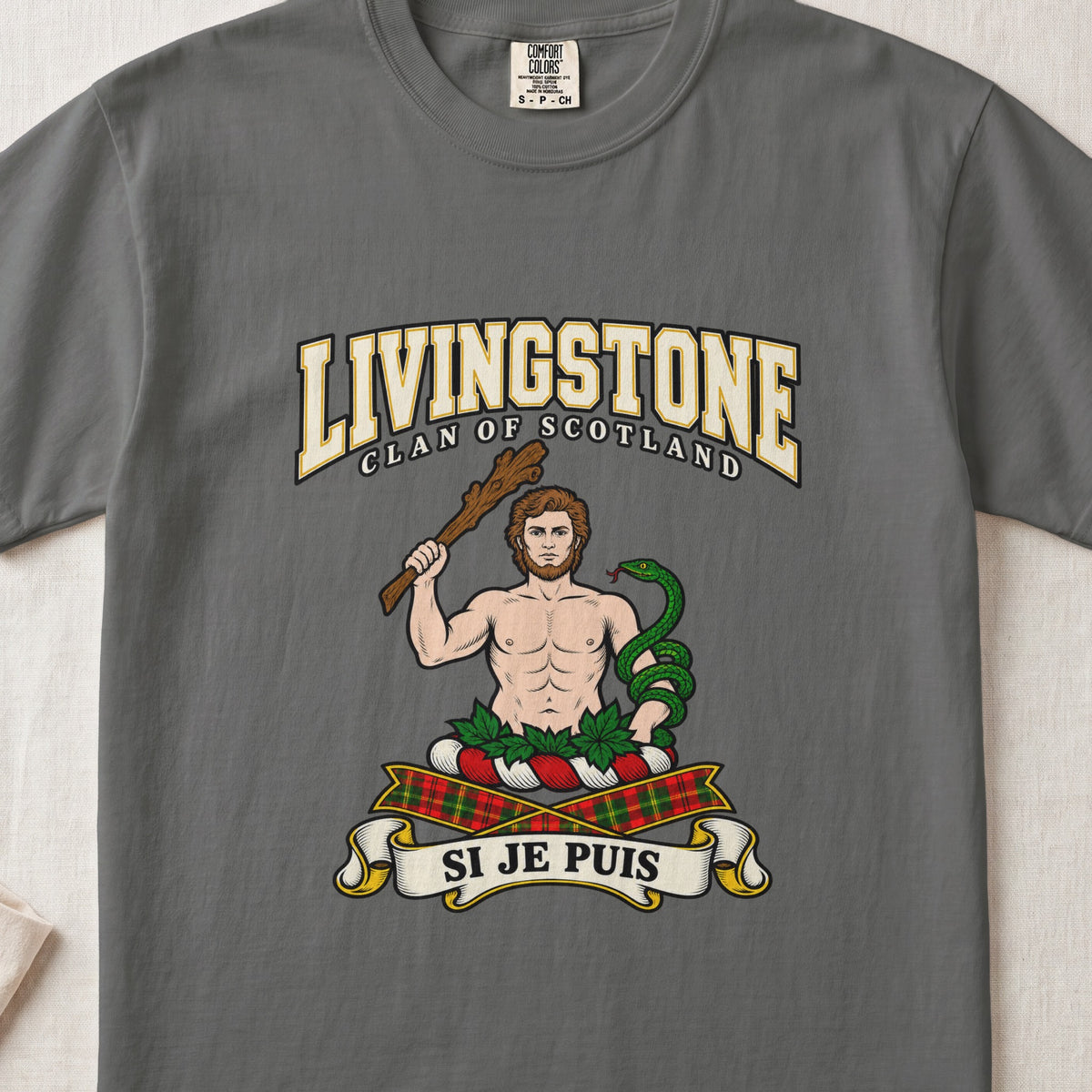 Livingstone graphic T-shirt in Pepper gray, front flat lay showing varsity lettering and bare-chested man holding a wooden club with a green snake coiled around the other arm.