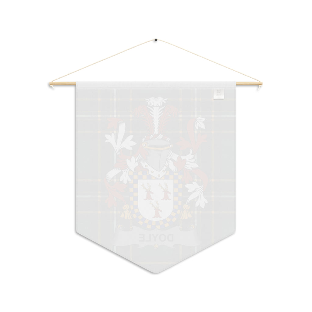 Pennant banner with Doyle family crest and plaid background.