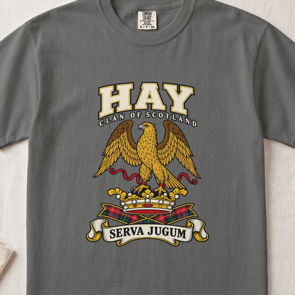 Hay graphic T-shirt in Pepper gray, front flat lay showing varsity lettering and gold eagle with spread wings and red ribbon.