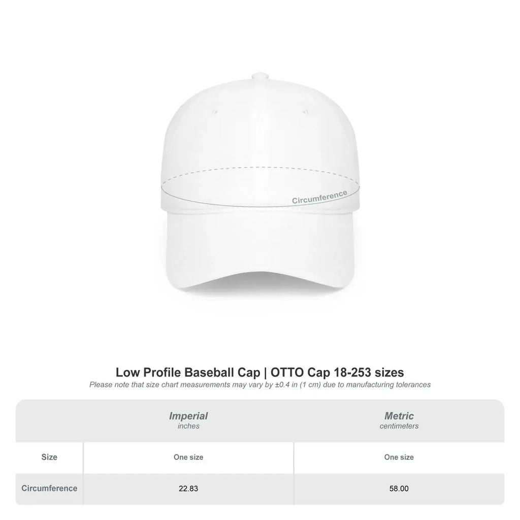 Low Profile Baseball Cap OTTO Cap 18-253 Sizes Hat