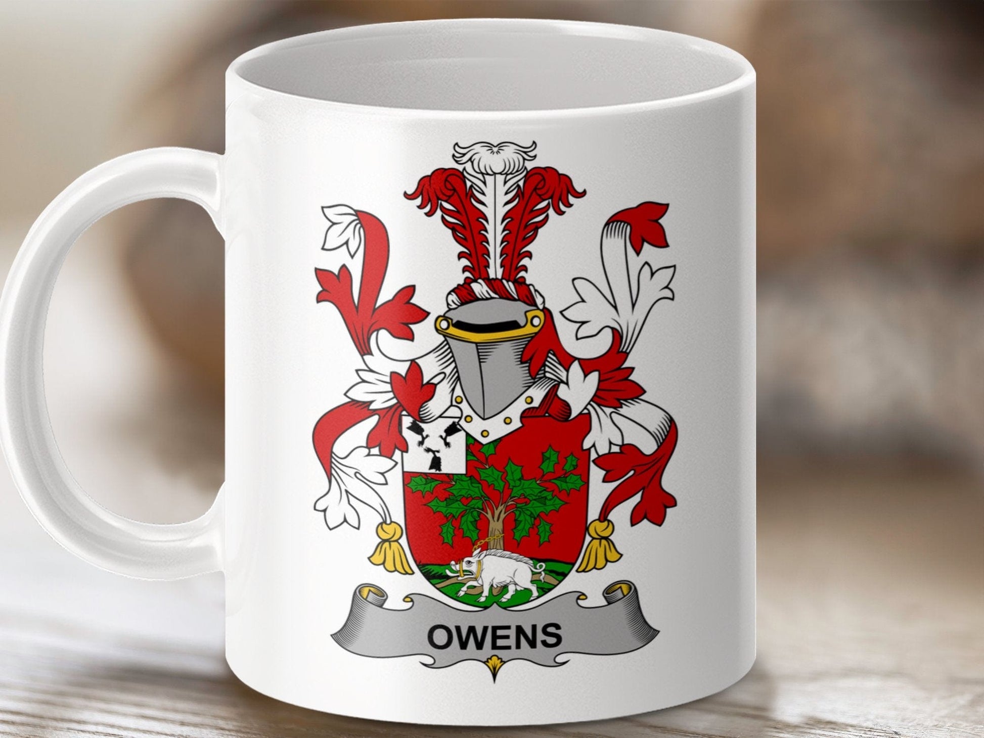 Physical Item 11oz / White Owens Surname Irish Heraldry Ceramic Mug