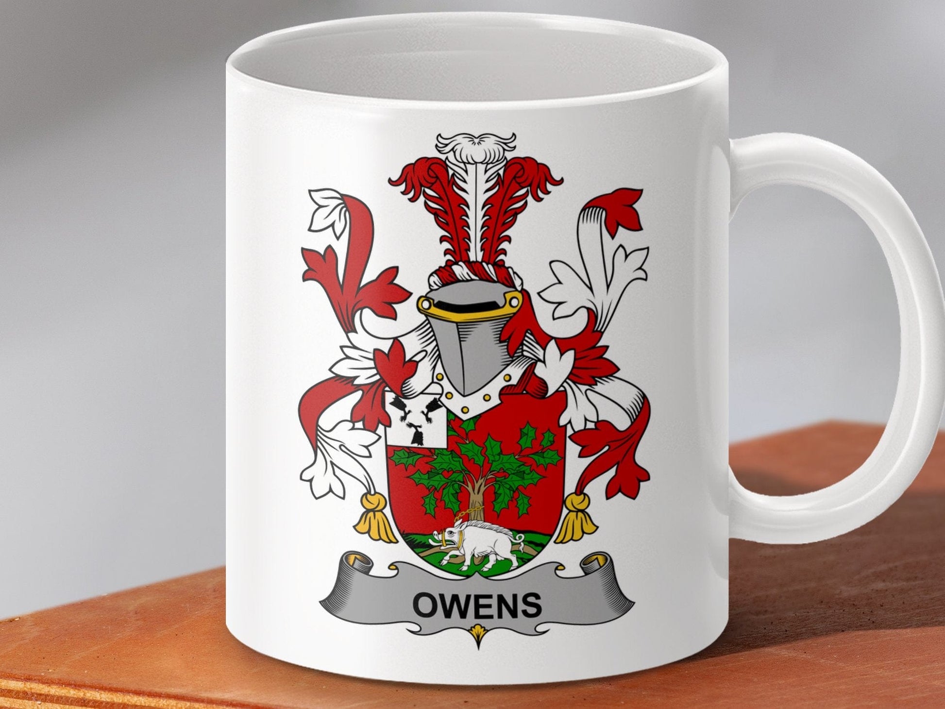 Physical Item 11oz / White Owens Surname Irish Heraldry Ceramic Mug