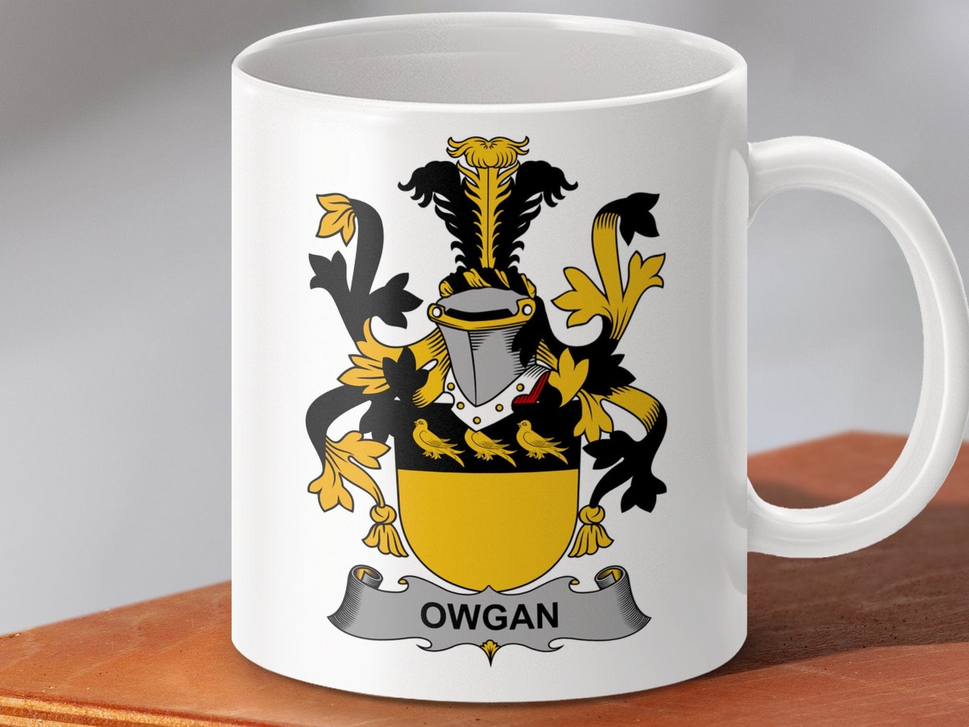 Physical Item 11oz / White Owgan Surname Irish Heraldry Ceramic Mug